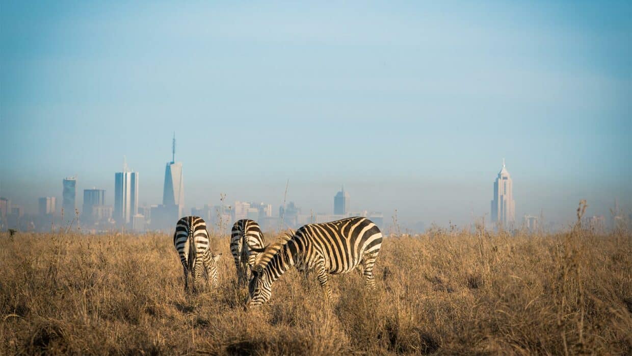 header-kenya